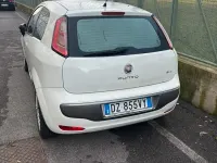 Usata Fiat Punto Evo 75 CV (55 kW) 2010 Bianco Utilitaria