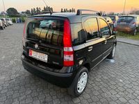 Usata Fiat Panda Dynamic 60 CV (44 kW) 2008 Nero Utilitaria