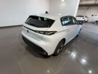 Usata Peugeot 308 Active 131 CV (96 kW) 2023 Bianco Berlina