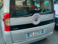 Usata Fiat Qubo Trekking 80 CV (58 kW) 2016 Grigio Monovolume
