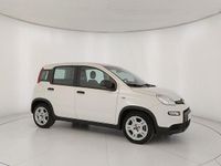 Usata Fiat Panda S 70 CV (51 kW) 2023 Bianco Utilitaria