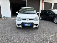 Usata Fiat Panda 4x4 Climbing 75 CV (55 kW) 2012 Bianco Utilitaria