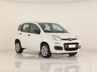 Usata Fiat Panda Easy 80 CV (58 kW) 2015 Bianco gelato Utilitaria