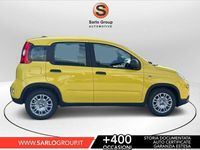 Usata Fiat Panda Red 70 CV (51 kW) 2024 Argento Utilitaria