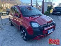 usata Fiat Panda Cross 1.0 FireFly S&S Hybrid