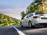 Usata Suzuki Swace 98 CV (72 kW) 2023 Bianco Station wagon