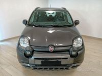 Usata Fiat Panda Cross Cross 69 CV (50 kW) 2022 Grigio Utilitaria