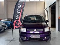 Usata Fiat Panda Active 60 CV (44 kW) 2010 Lilla Utilitaria