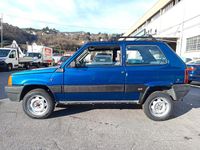 Usata Fiat Panda 4x4 54 CV (39 kW) 2001 Blu Utilitaria