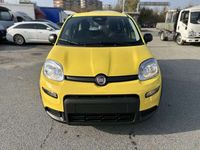 Usata Fiat Panda S 69 CV (50 kW) 2024 Giallo Utilitaria