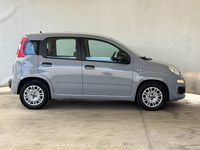 Usata Fiat Panda 70 CV (51 kW) 2022 Grigio Utilitaria