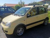 Usata Fiat Panda Dynamic 60 CV (44 kW) 2009 Utilitaria
