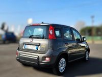 Usata Fiat Panda City Life 70 CV (51 kW) 2023 Grigio Utilitaria