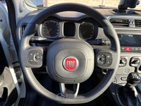 Usata Fiat Panda Cross Cross 69 CV (50 kW) 2026 Bianco Utilitaria