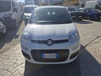 Usata Fiat Panda S 69 CV (50 kW) 2021 Bianco Utilitaria