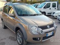 Usata Fiat Panda Cross 69 CV (50 kW) 2007 Marrone Utilitaria