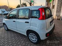 Usata Fiat Panda Easy 69 CV (50 kW) 2016 Bianco Utilitaria