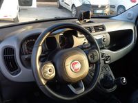 Usata Fiat Panda 4x4 S 85 CV (62 kW) 2020 Bianco pastello Utilitaria