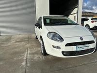 Usata Fiat Punto 75 CV (55 kW) 2014 Bianco Utilitaria
