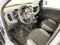 usata Fiat Panda 1.2 " NEOPATENTATI"