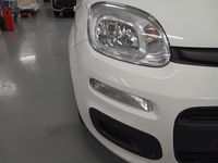 Usata Fiat Panda S 70 CV (51 kW) 2024 Giallo sole (pastello) Utilitaria