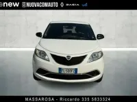 Usata Lancia Ypsilon Gold 69 CV (50 kW) 2017 Bianco Utilitaria