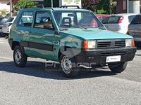 Usata Fiat Panda 4x4 Trekking 54 CV (39 kW) 2003 Verde Utilitaria