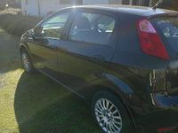 Usata Fiat Punto 2014 Berlina