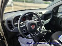 Usata Fiat Panda Easy 95 CV (69 kW) 2017 Bianco pastello Utilitaria