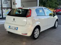 Usata Fiat Punto Lounge 77 CV (56 kW) 2015 Utilitaria