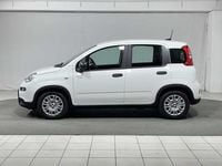 Usata Fiat Panda S 69 CV (50 kW) 2024 Bianco Utilitaria