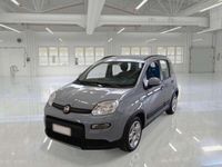 Usata Fiat Panda City Life 69 CV (50 kW) 2022 Grigio Utilitaria