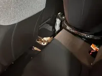 Usata Fiat Panda 70 CV (51 kW) 2022 Utilitaria