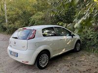 Usata Fiat Punto Street 69 CV (50 kW) 2014 Utilitaria