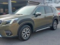 Usata Subaru Forester Style 149 CV (109 kW) 2023 Verde SUV