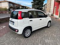 usata Fiat Panda 1.2 2019 Garanzia 12 mesi