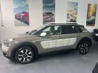 Usata Citroën C4 Shine Edition 99 CV (72 kW) 2014 Beige SUV