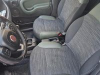 Usata Fiat Panda 4x4 75 CV (55 kW) 2017 Grigio Utilitaria