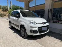 Usata Fiat Panda 4x4 75 CV (55 kW) 2017 Bianco Utilitaria