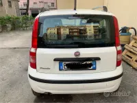 Usata Fiat Panda Dynamic 69 CV (50 kW) 2011 Bianco Utilitaria