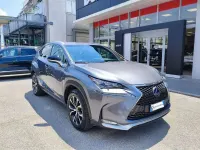 Usata Lexus NX300h Sport Line 155 CV (114 kW) 2015 Argento SUV