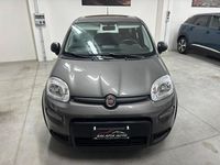 Usata Fiat Panda S 70 CV (51 kW) 2023 Grigio Utilitaria