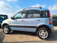 Usata Fiat Panda 4x4 Climbing 75 CV (55 kW) 2007 Blu Utilitaria