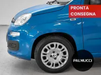 Usata Fiat Panda Icon 69 CV (50 kW) 2025 Blu/azzurro Utilitaria