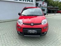 Usata Fiat Panda 4x4 S 86 CV (63 kW) 2020 Rosso Utilitaria