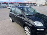 Usata Fiat Panda Easy 80 CV (58 kW) 2017 Utilitaria