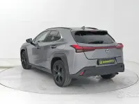 Usata Lexus UX 250h 184 CV (135 kW) 2022 Grigio SUV
