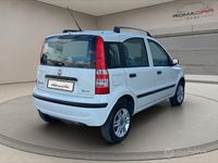Usata Fiat Panda Dynamic 60 CV (44 kW) 2009 Bianco Utilitaria