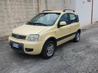 Usata Fiat Panda Climbing 60 CV (44 kW) 2008 Giallo Utilitaria