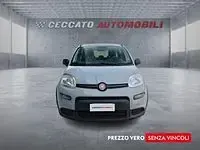 Usata Fiat Panda City Life 70 CV (51 kW) 2022 Grigio Utilitaria